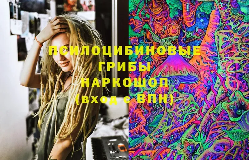 Галлюциногенные грибы Magic Shrooms  hydra маркетплейс  Коломна 